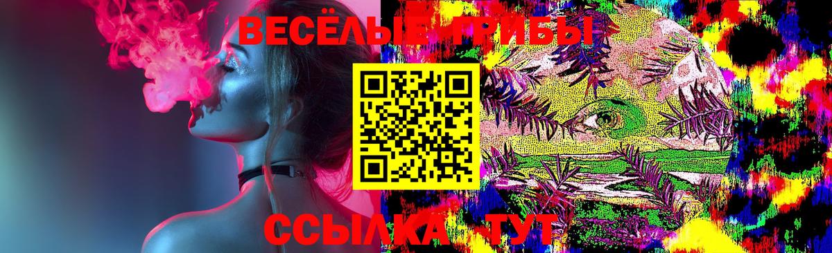Галлюциногенные грибы Cubensis Рославль
